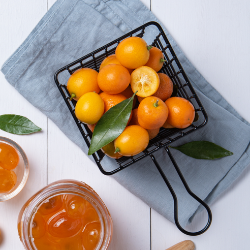 제주 금귤로 즐기는 상큼한 순간