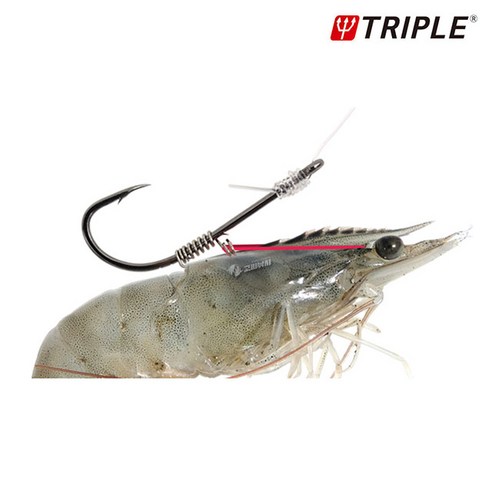 트리플 새우 채비로 농어, 광어 '싹쓸이'!