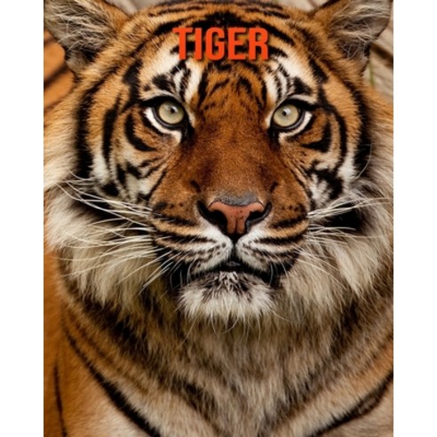 Tiger: Amazing Facts about Tiger Paperback, Independently Published, English, 9798552000852