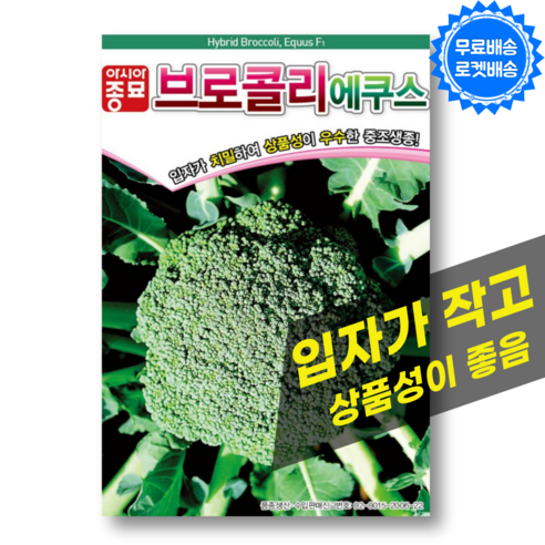 브로콜리 씨앗 100립 상품성이 우수한 조생종 프로콜리 종자 씨, 1개