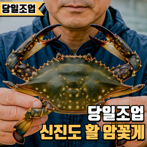 싱싱한 봄꽃게, 집에서 즐기는 풍성한 알과 달콤한 맛!