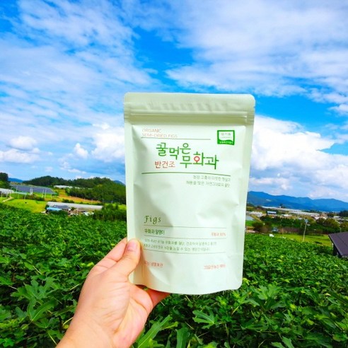 [여화원]국산 유기농 반건조 청무화과 100g /건무화과/무화과/건과일/과일말랭이/청무화과 말랭이/건조과일/말린무화과/ 유기농무화과, 200g (지퍼팩), 1개