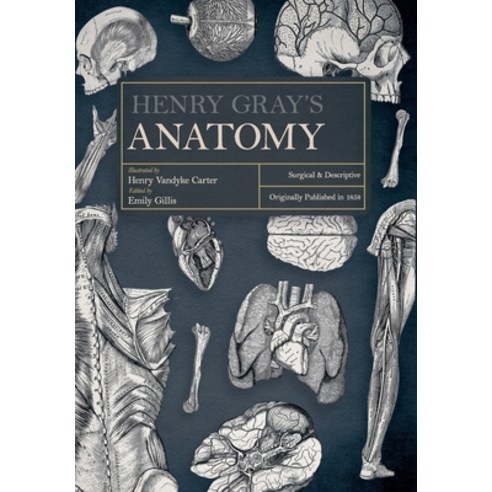 (영문도서) Henry Gray''s Anatomy: Descriptive and Surgical Hardcover, Art Meets Science, English, 9781528773416
