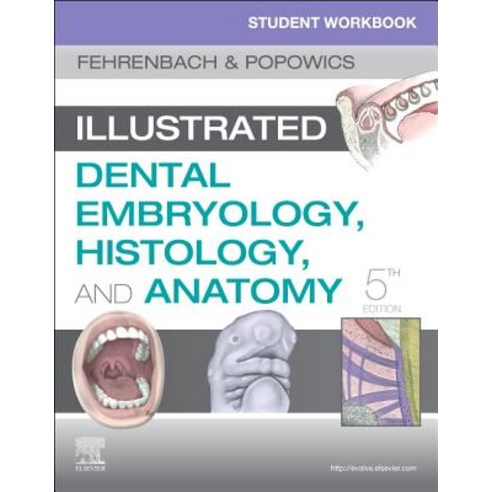 Student Workbook for Illustrated Dental Embryology Histology and Anatomy Paperback, Saunders, English, 9780323639903