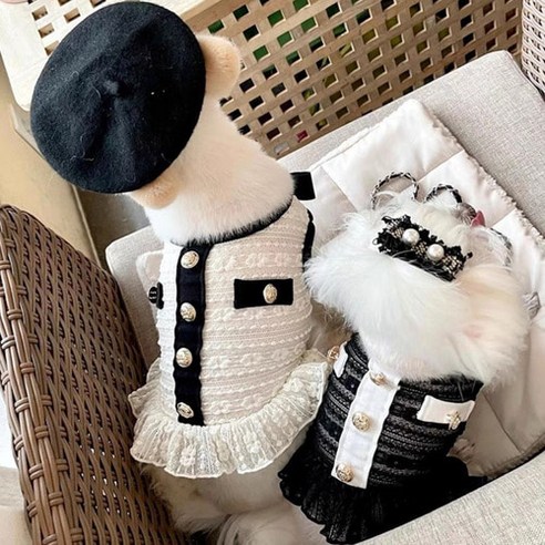 사랑스러운 반려견을 위한 고급 트위드 원피스