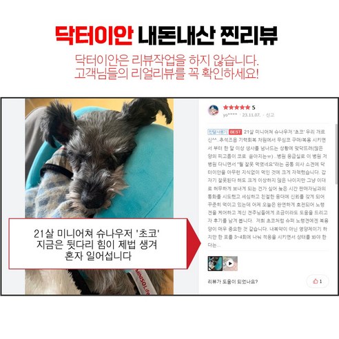 강아지영양제 닥터이안, 1개