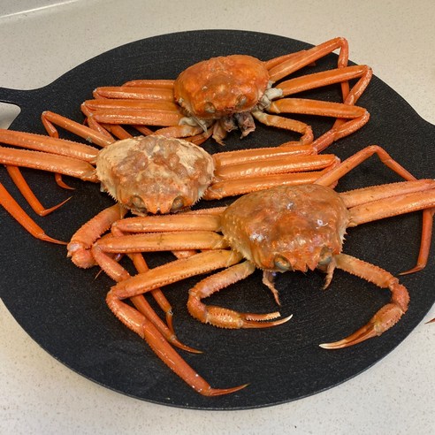 산지직송 프리미엄 박달홍게: 신선함과 품질의 보장