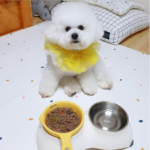 위풍당당 댕댕이를 위한 최고의 선택, 위닝푸드 강아지 소불고기 화식!