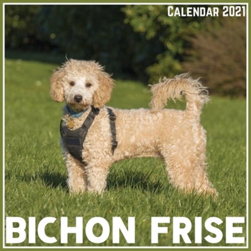 Bichon Frise Calendar 2021: Official Bichon Frise Calendar 2021 12 Months Paperback, Independently Published, English, 9798706855499