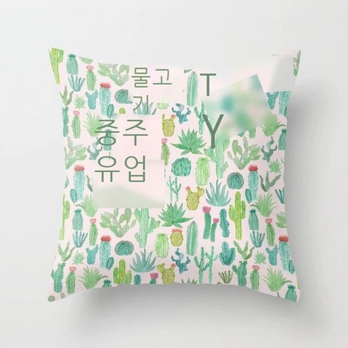 다국적 열대 식물 복숭아 털 베개 커버 선인장 도안 소파 사무실 자동차 베개 쿠션 커버, 45CM*45CM(베갯속 제외), DRD98-11