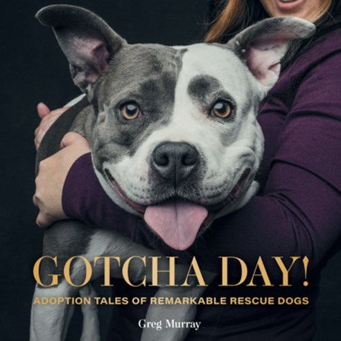 (영문도서) Gotcha Day!: Adoption Tales of Remarkable Rescue Dogs Hardcover, Gibbs Smith, English, 9781423655275