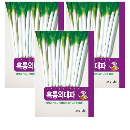 대파 씨앗 3개입, 1개