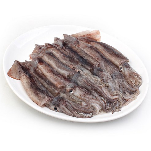 갓 잡아 올린 듯 신선한 쫄깃함, 냉동실에 쟁여두는 선동오징어