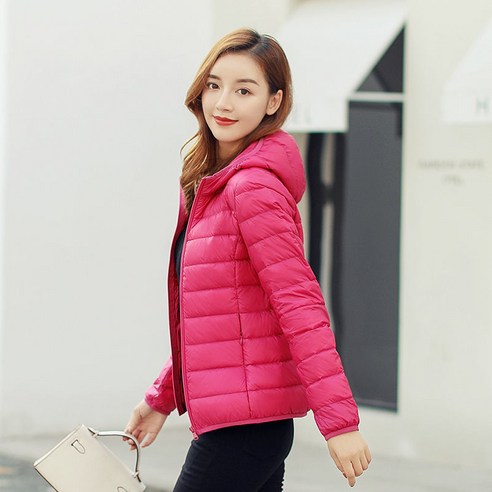여성 오프 시즌 자켓 새로운 짧은 학생 스탠드 칼라 후드 한국 스타일 얇은 코트