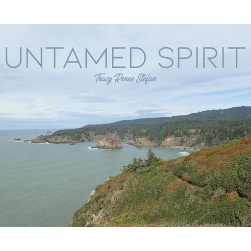 (영문도서) Untamed Spirit Hardcover, Dorrance Publishing Co., English, 9781645306733