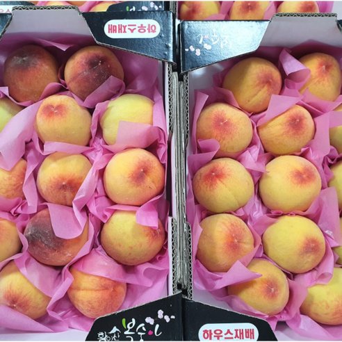 [2026년 첫 판매] 당일수확 산지직송 경북 하우스 제철 털복숭아, 1박스, 500g(중소과)