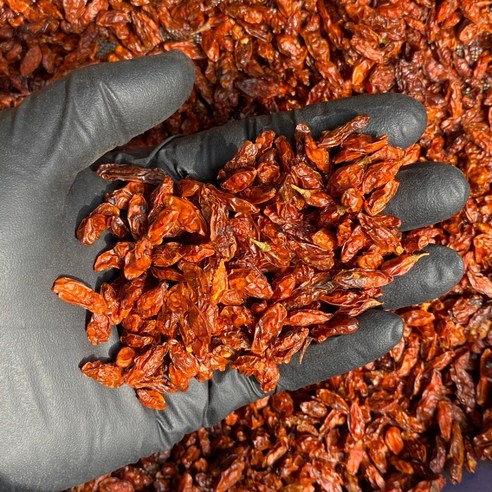 붉은 기운을 담아 건강한 하루를 시작하세요, 방앗간청년 구기자차