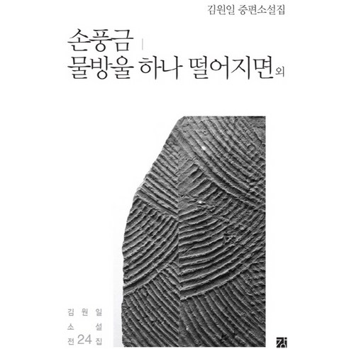 손풍금 물방울 하나 떨어지면 외:김원일 중편소설집, 강, 김원일 저