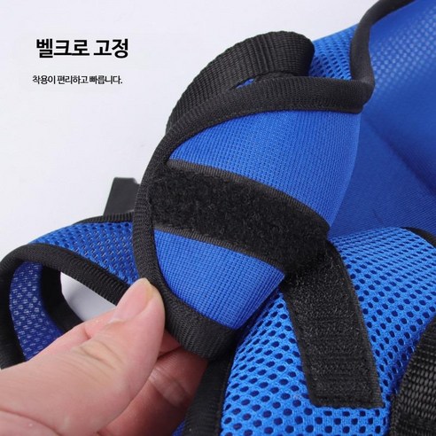 휠체어와 척추보조기로 늙어가는 강아지에게 새로운 삶을 선물하세요!