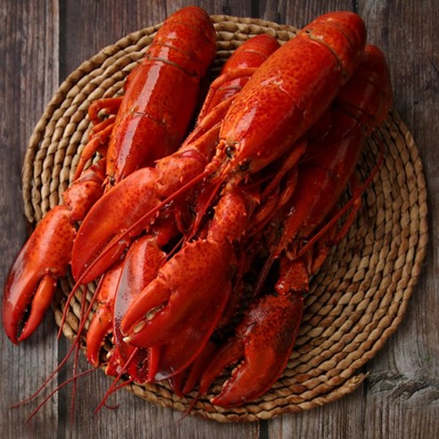 더꽃게 활 라지 점보 랍스타 3.5kg-8kg, 1마리, 5kg