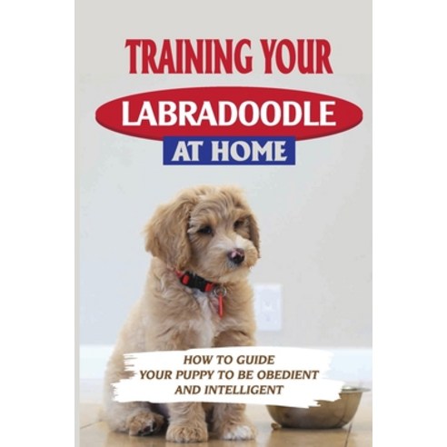 (영문도서) Training Your Labradoodle At Home: How To Guide Your Puppy To Be Obedient And Intelligent: La... Paperback, Independently Published, English, 9798549001275