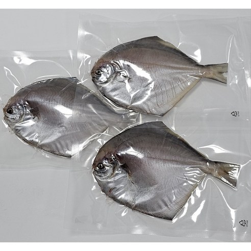 건강한 국내산 반건조 병어, 다양한 요리로 즐기는 맛과 영양