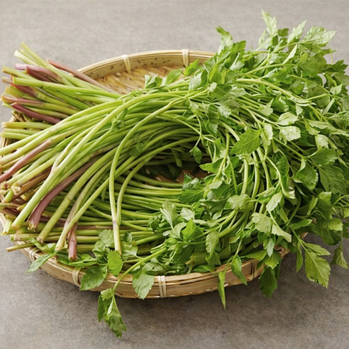 향긋한 청도 미나리 삼겹살 제철 생미나리 산지직송 특품 신선 1kg 가정용채소