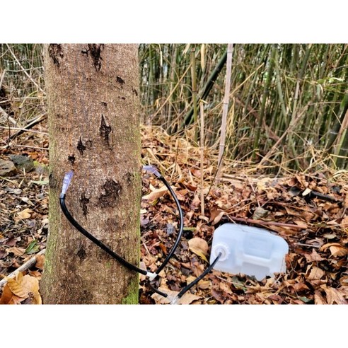 백운산의 생명력을 담은 건강한 선택, 서기네농장 고로쇠 수액