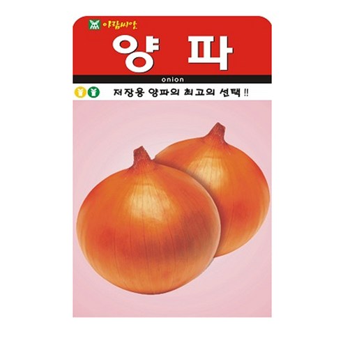 양파 씨앗 씨 종자, 3개