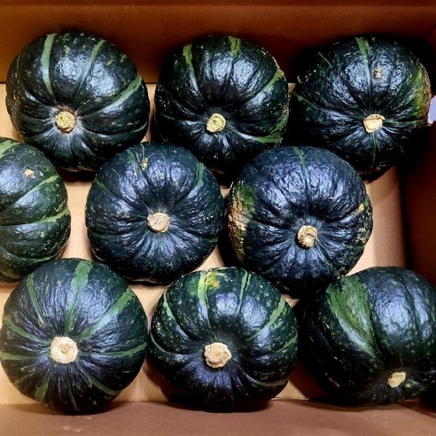 DO 미니 단호박 밤호박 제주 보우짱 특과 2kg 3-9과, 1개, 상세페이지 참조, 상세페이지 참조