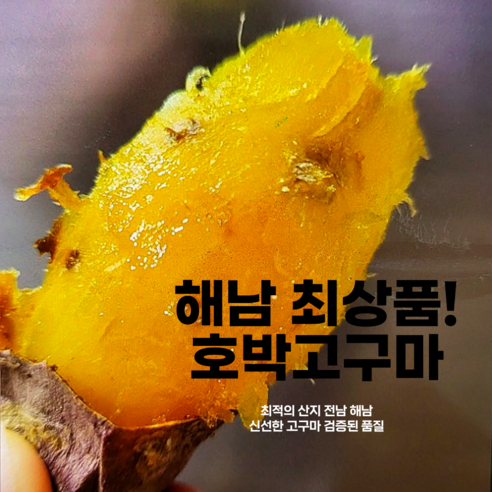 영암 세척 꿀 고구마 3kg 5kg 베니하루카 황금호박  산지직송 해남 햇 호박고구마 세척 3kg 5kg 황금호박고구마 해남고구마 꿀고구마 호박 고구마5kg 태안호박고구마 해남고구마꿀고구마 해남호박고구마, 대, 1개, [세척]호박고구마5kg