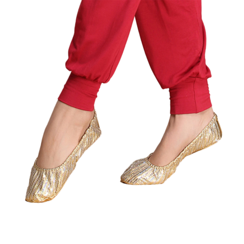 ANKRIC 댄스화 벨리 댄스 신발 인도 댄스 공연 연습 신발 부드러운 밑창 여성용 골드 신발, 럭셔리 골드 반 야드 미만, S 코드 (34, 35)