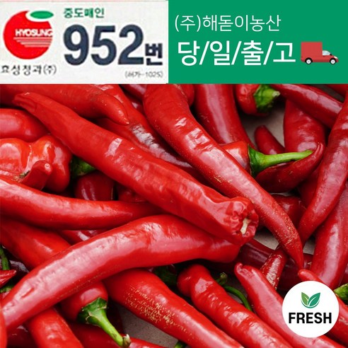 해돋이농산 국내산 햇홍고추 빨간고추 붉은고추 상품 특품 5kg 1박스 (10kg내외), 5kg(특), 1개