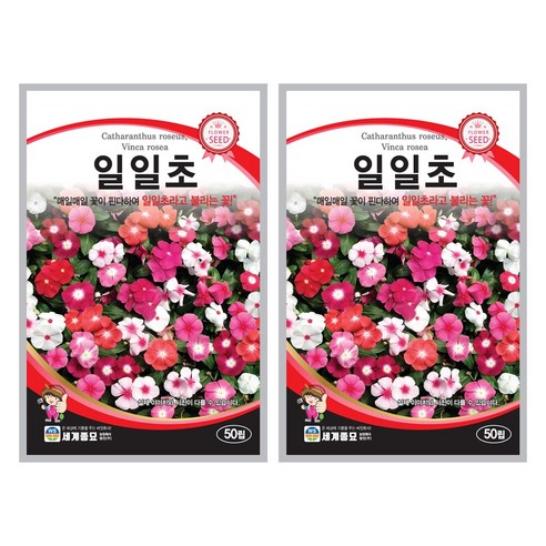 일일초 씨앗 50립 꽃씨앗 세계종묘 모칸도, 7개