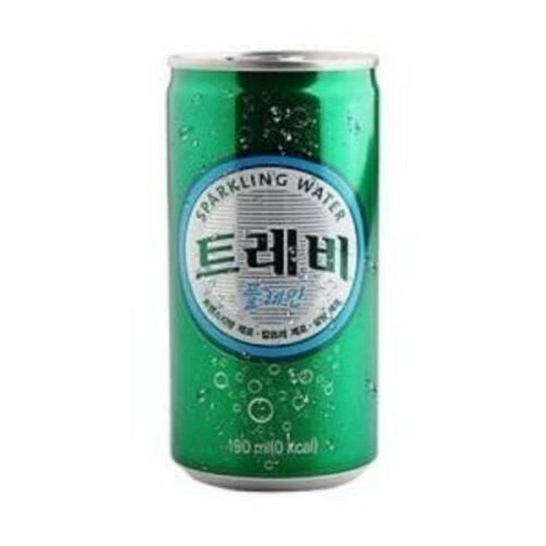 fm)트레비 플레인 190ml 캔 _30개, 30개