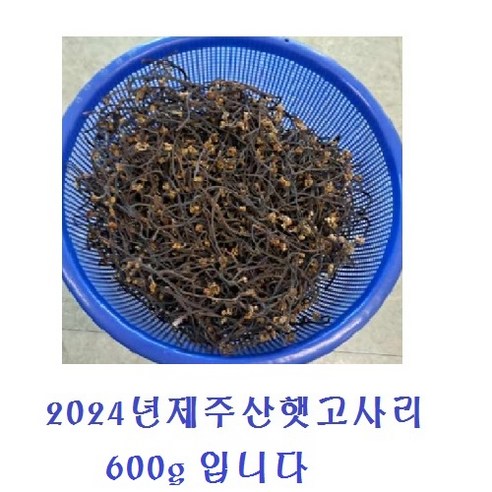 2024년 햇고사리 제주건고사리 .600g 제주말린고사리, 600g, 1개
