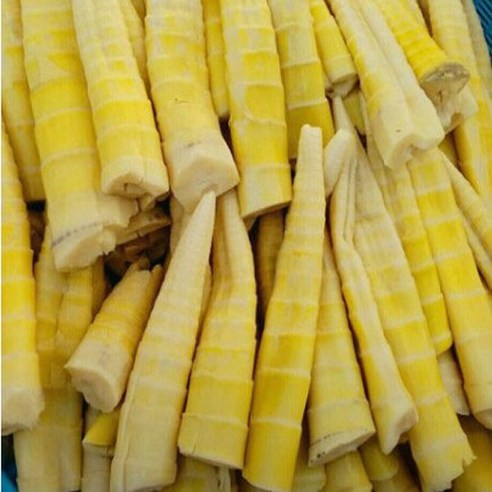 담양대숲소리 삶은죽순 분죽 1kg