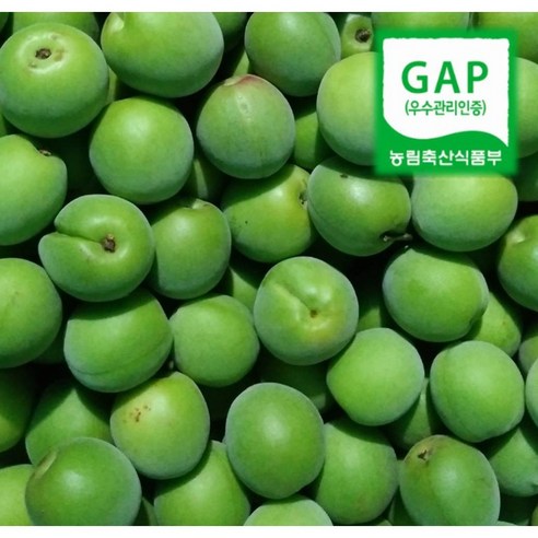 나영이네농장 하동 청매실, 청매실 10kg (..., 1박스 - 매실 | 쿠팡