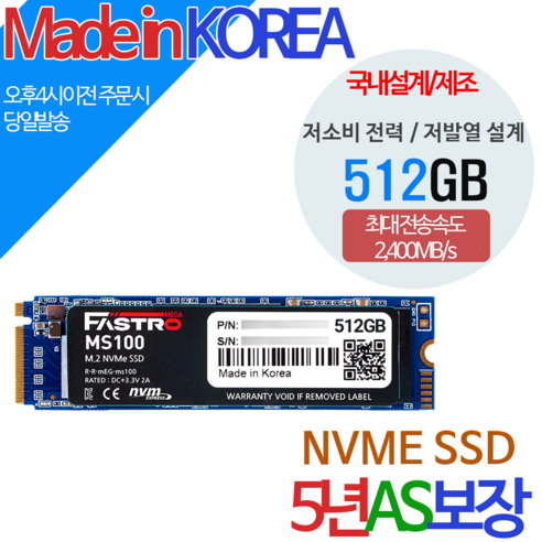 키오시아 EXCERIA PLUS G3 M.2 NVMe SSD 1TB + NVMe방열판 Best Top5 9 Fastro NVMe SSD, MS100, 256GB