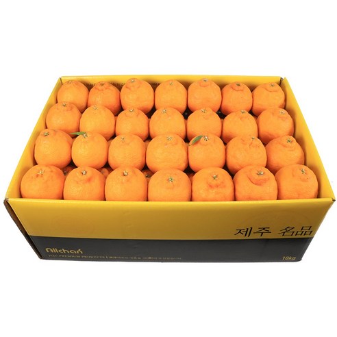 삼다몰 제주 한라봉 선물세트 3kg 5kg 10kg, 1박스, 꼬마한라봉 중과 10kg