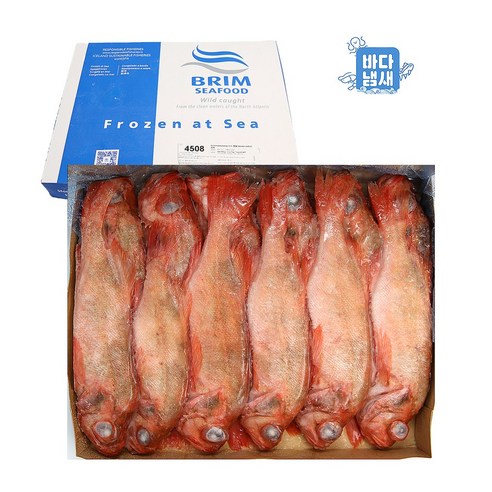 냉동 적어 대서양 붉은 장문볼락 500/700g 7kg (1판) 열기 빨간생선
