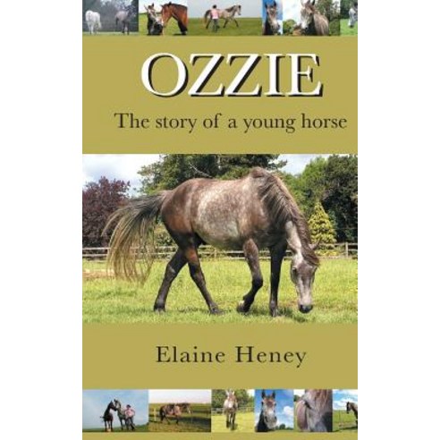 Ozzie - The Story of a Young Horse Paperback, Createspace Independent Pub..., English, 9781494932558