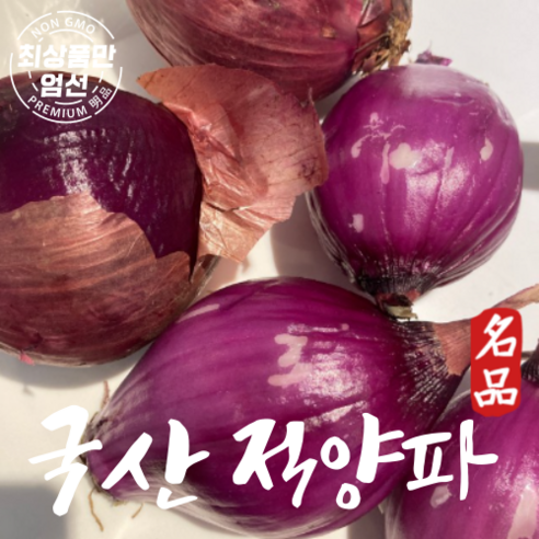 국산 적양파 자색양파 햇 보라색양파 1kg, 1개