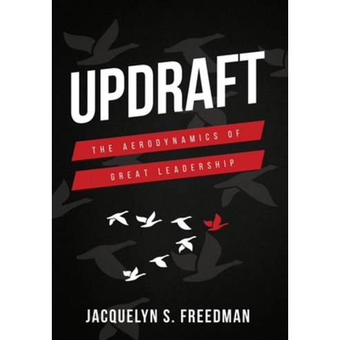 (영문도서) Updraft: The Aerodynamics of Great Leadership Hardcover, Delta-V Strategies LLC, English, 9780986156007