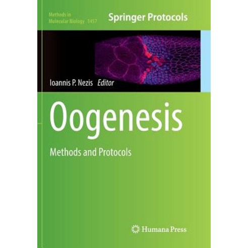 (영문도서) Oogenesis: Methods and Protocols Paperback, Humana, English, 9781493981410