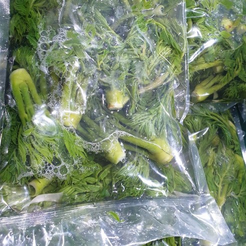 봄의 전령사, 자연의 활력을 담은 올바른새움푸드 데친 참두릅 개두릅