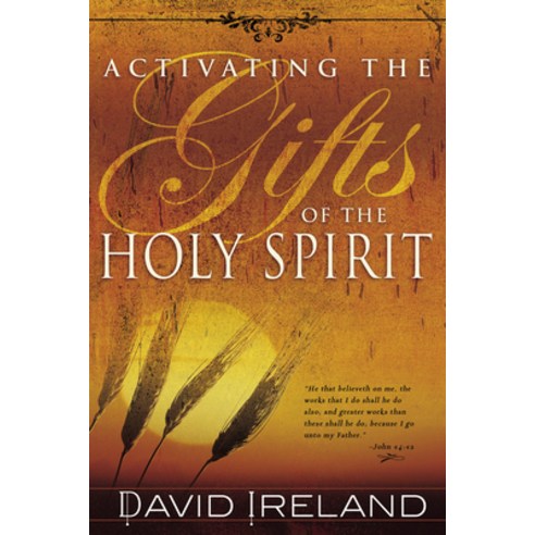 Activating the Gifts of the Holy Spirit Paperback, Whitaker House