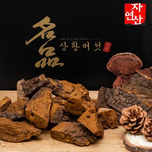 자연산 상황버섯 40년산 500g 산뽕나무 고급포장, 절편 500g, 1개