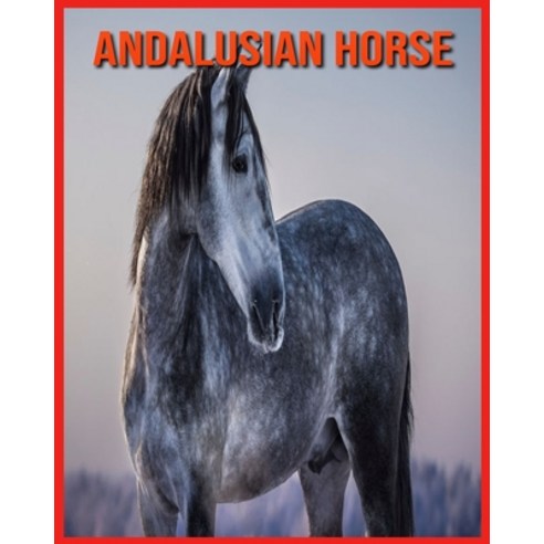 Andalusian Horse: Fun Learning Facts About Andalusian Horse Paperback, Independently Published, English, 9798706616243