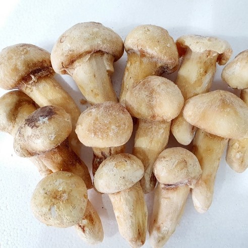 가하푸드영농조합 자연산 냉동송이버섯, 1개, 냉동송이 3등품 1kg